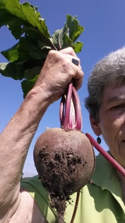 Giving Garden at the Wagner Farm Arboretum